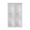 Renin Renin 48 in. x 80 1/2 in.  Euro 3-Lite Bypass Door EU2030BWFGE048080 - alternate 1
